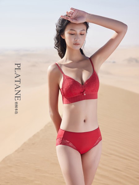 梧桐本色品牌核心以及内衣产品的介绍