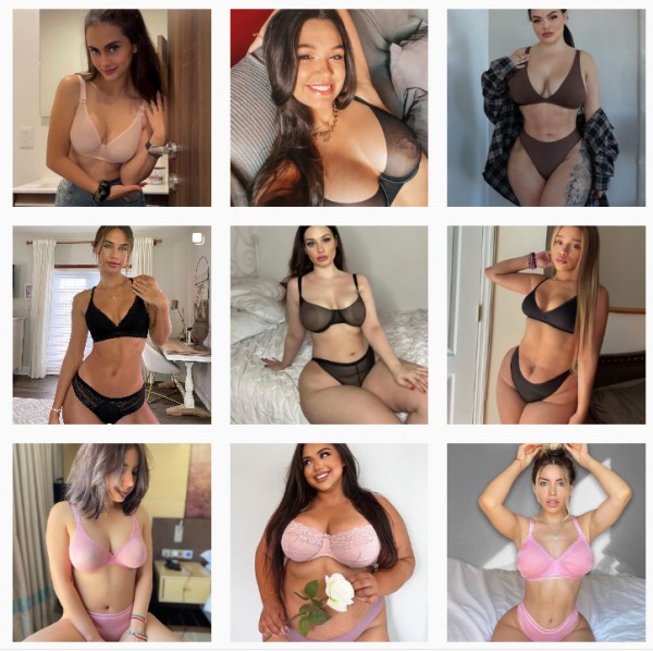 SHEIN 内衣独立站迎来流量高峰