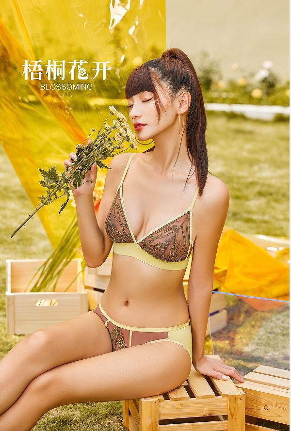 梧桐花开时尚内衣新品上市,实力诠释新时代女性美丽密码