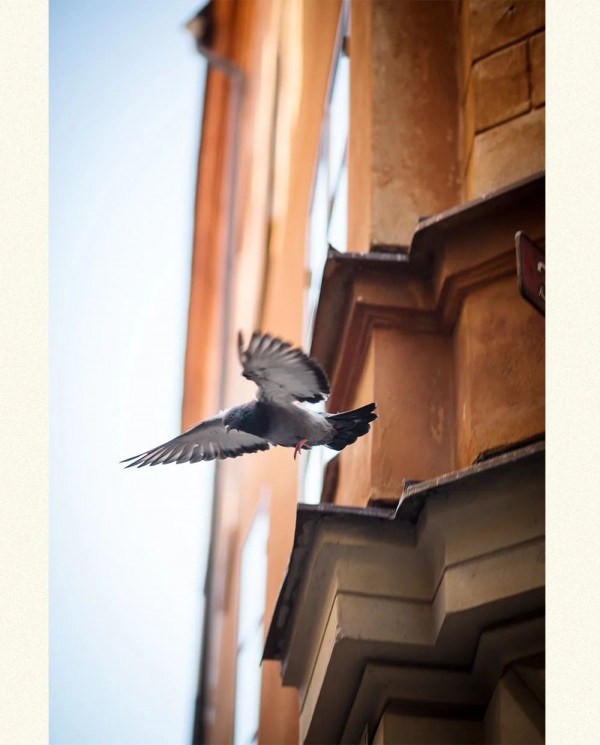 飞鸟和新酒2022 WINTER | 蕴蓄不休,生生不息