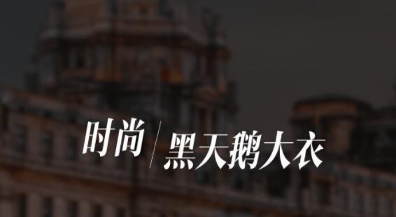 伊芙丽 | 轻奢高支羊毛系列,带你一同踏入全新冬日旅程