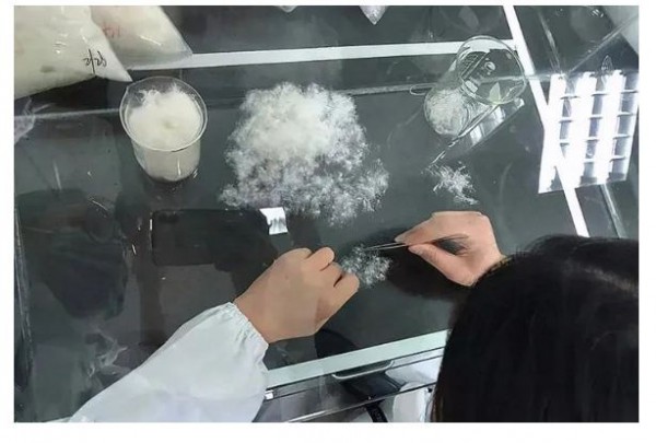 抖音电商公布“打击售卖劣质羽绒服专项行动”阶段成果