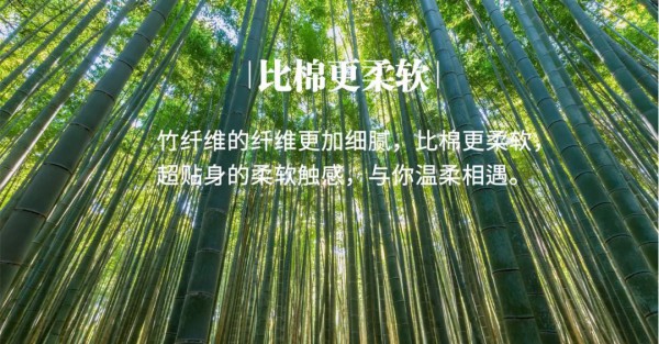 天竹家居 | 天然竹纤维打底套装,抗菌抑菌呵护健康
