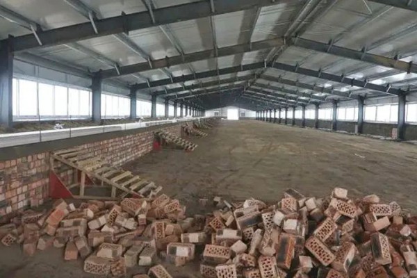 新疆规划年产500吨羽绒项目