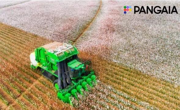 Pangaia正在向再生棉花种植转型