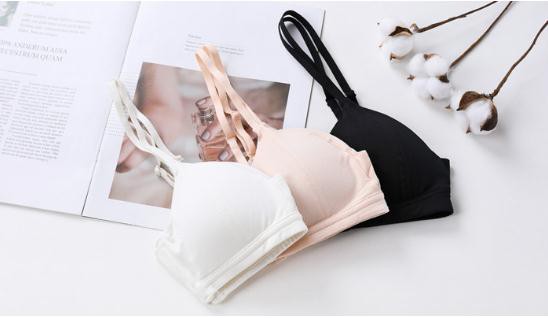 排名前五的内衣品牌有哪些 这些品牌你知道吗