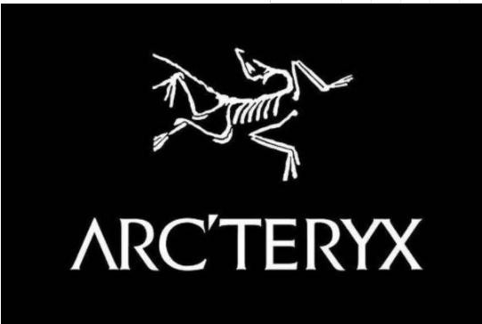 全球运动休闲服饰销售呈现增长趋势 推动行业新发展必须把握“新宠”流量