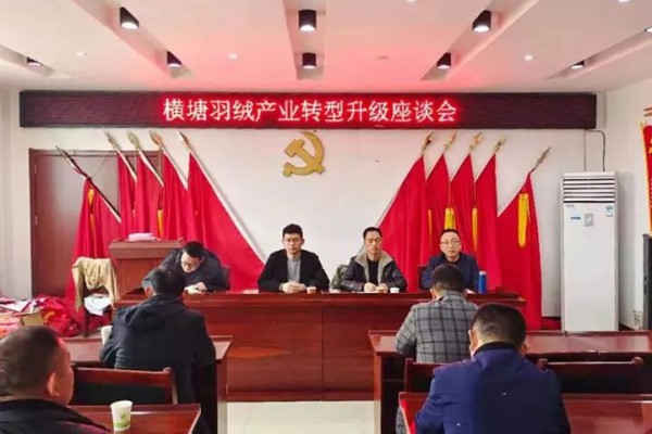 横塘镇召开羽绒产业转型升级座谈会