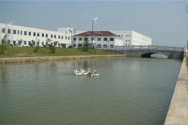 羽绒产业最新消息| 无城镇激发羽毛羽绒产业招商磁场效应