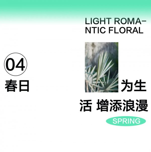 Eall.cz意澳|平凡的生活,同样闪着光