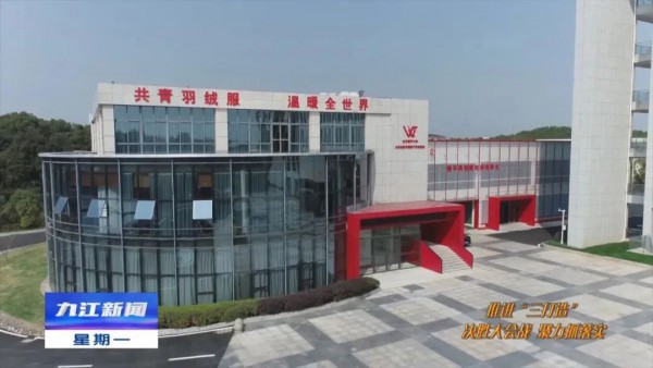 “研究院+产业园“共促鸭鸭再“飞”