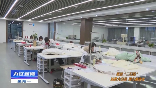 “研究院+产业园“共促鸭鸭再“飞”