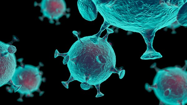 大连两家服装厂面料检出阳性!已致12人感染,一服装厂负责人发声...