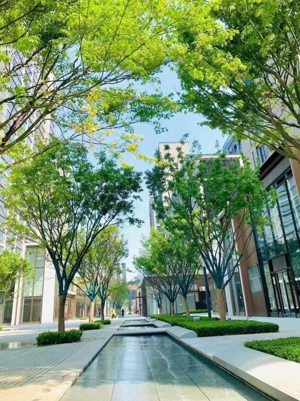 浙江首座万象天地来了!落地杭州,就在亚运村!