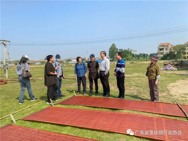地方协会:广东省茧丝绸行业协会调研丝绸产业