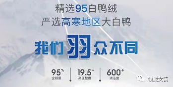 领葳LINGWEI服饰|一件羽绒服的温度,唤醒冬日的温柔