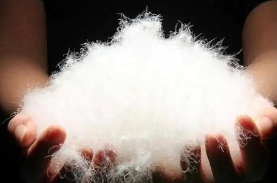 与张大奕相关的两家公司因销售“劣质”羽绒服被处罚