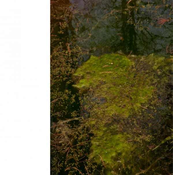 Edition | 母亲节 姆明亲子系列陪你快乐长大!