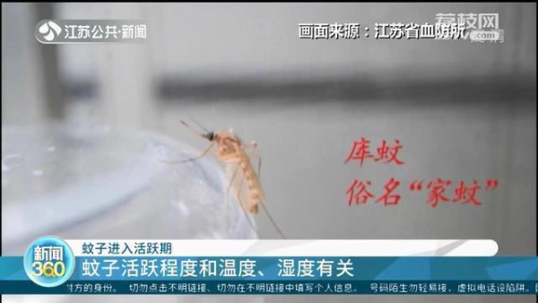 爆款的防蚊T恤真的有用吗?专家回应:效果需要打问号