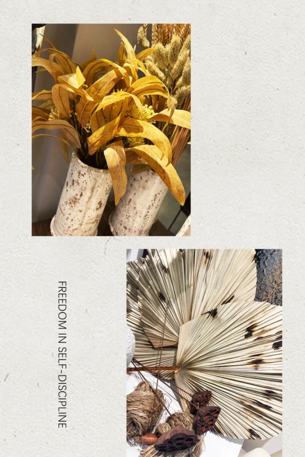 氏伽︱西安汉神店,盛大开业