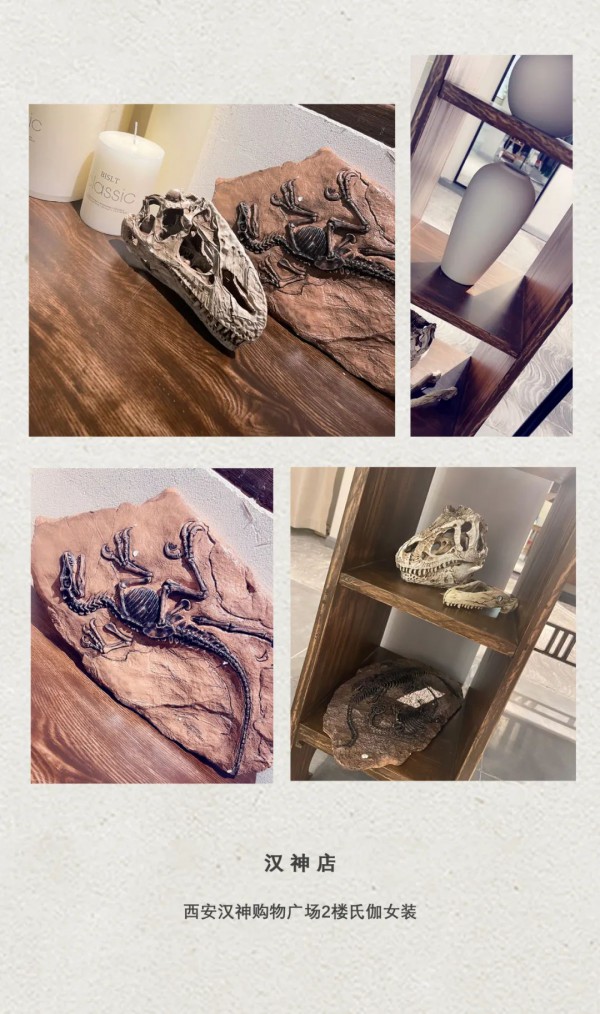 氏伽︱西安汉神店,盛大开业