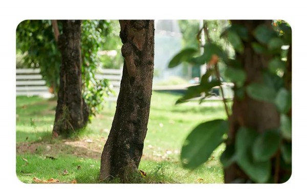 babybean小裙裙集合丨开启小公主的夏天模式