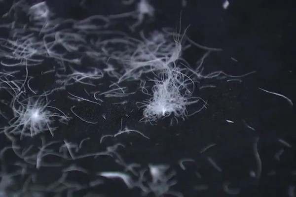 手感绒“翻车”,服装商因此损失几十万!!!