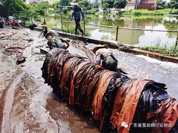 广东省茧丝绸行业协会到香云纱的故里顺德伦教调研