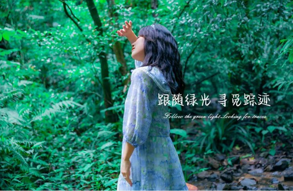 Eall.cz意澳|嗨,我们一起去森林吧!