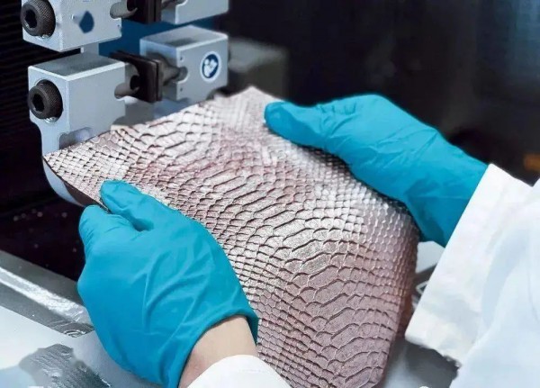 海鲜壳,咖啡渣将成为皮革材料领域新选择