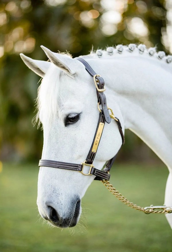 ETTOI爱多娃｜6月8日苏州久光门店正式开业