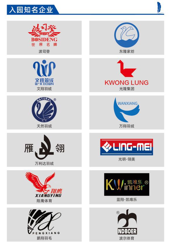 无为市羽毛羽绒产业园荣获安徽省版权示范园区称号