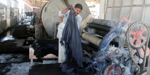 孟加拉国生皮贸易商为生存而努力