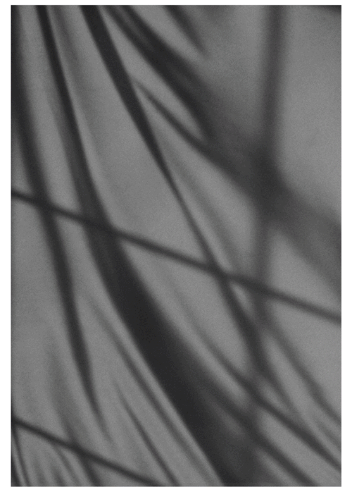 YERAD娅丽达丨优雅只需一点【black】