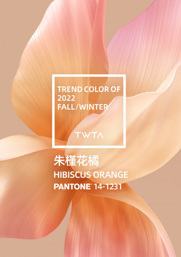 天猫前瞻洞察联盟发布2022年秋冬流行色