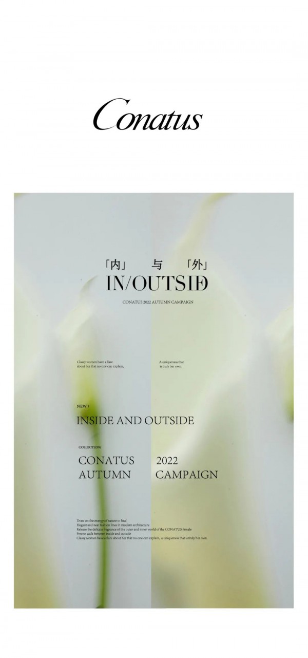 珂尼蒂思-CONATUS