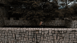 ZRAU 2022 秋季大片|AUTUMN WANDER