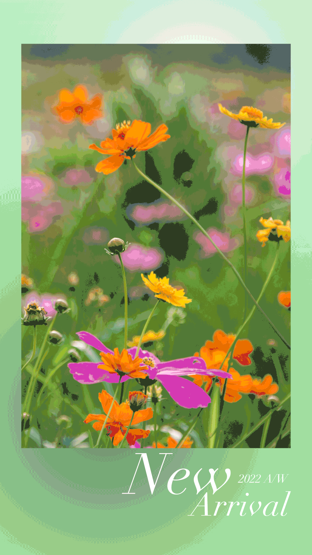 OLENO 奥丽侬上新 | 从内而外散发的柔美