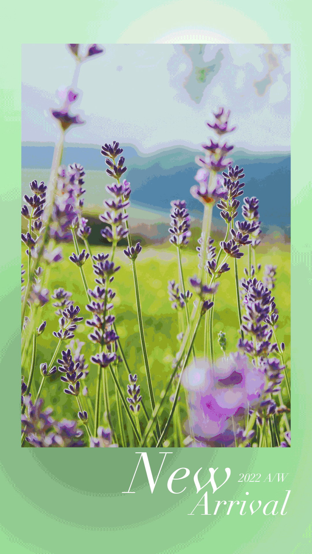 OLENO 奥丽侬上新 | 从内而外散发的柔美