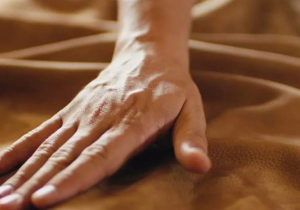 瑞典皮革制造商Elmo提供零废料皮革生产技术