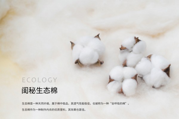 塑造完美曲线!闺秘,做最懂女人的内衣品牌!