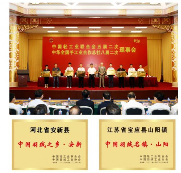 “中国羽绒之乡•安新”,“中国羽绒名镇•山阳”获得正式命名