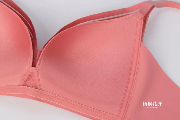 梧桐花开光序 | 光影穿梭之下,倾听光的序言