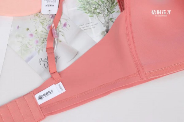 梧桐花开光序 | 光影穿梭之下,倾听光的序言