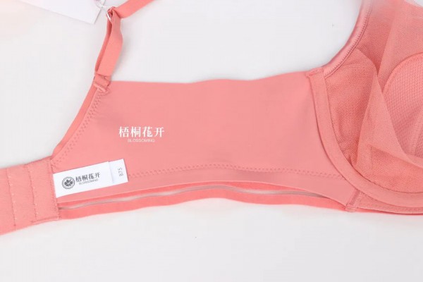 梧桐花开光序 | 光影穿梭之下,倾听光的序言