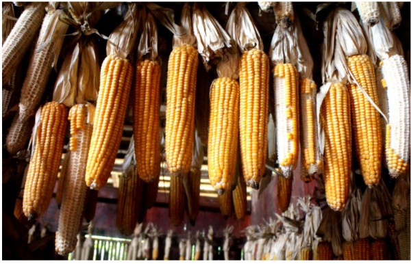 电商平台失去流量红利,还有四大商机!