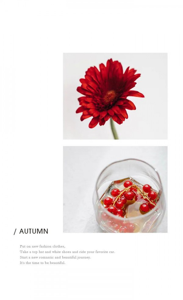 DUOYI 朵以New in | 秋日画报・油画感调色板