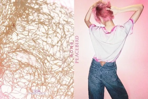 PEACEBIRD × 8ON8合作系列上线