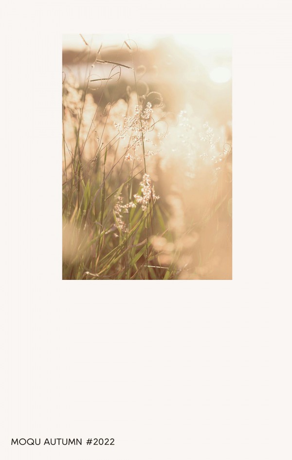 墨曲丨静听万物 感受自然