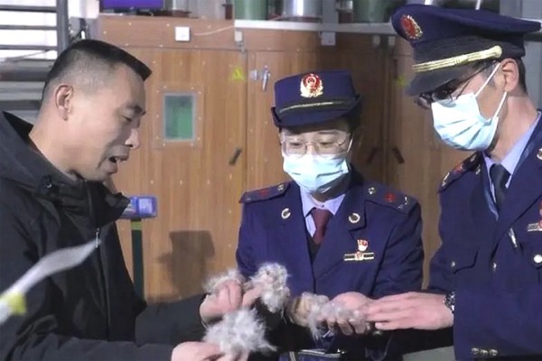 市场监管助推萧山羽绒产业焕发新机